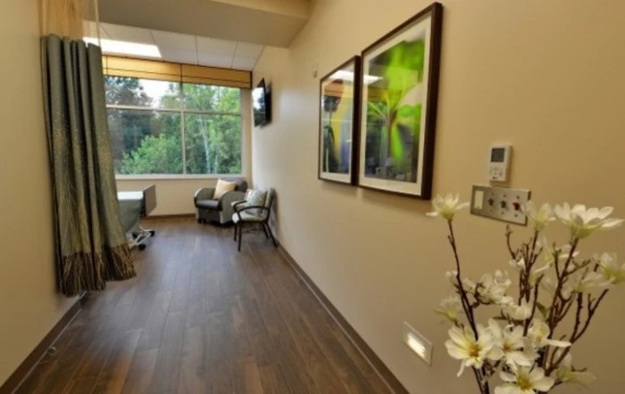 A well-lit office space with comfortable seating and nature-themed artwork, overlooking a lush green view.