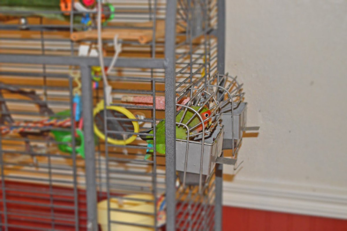 A close-up view of a bird cage with colorful toys and perches.