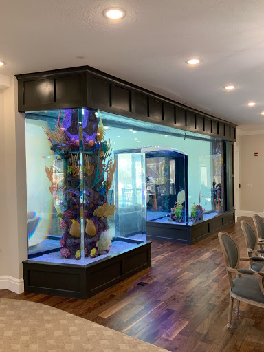 A beautifully designed aquarium with vibrant aquatic life, enhancing the interior space.