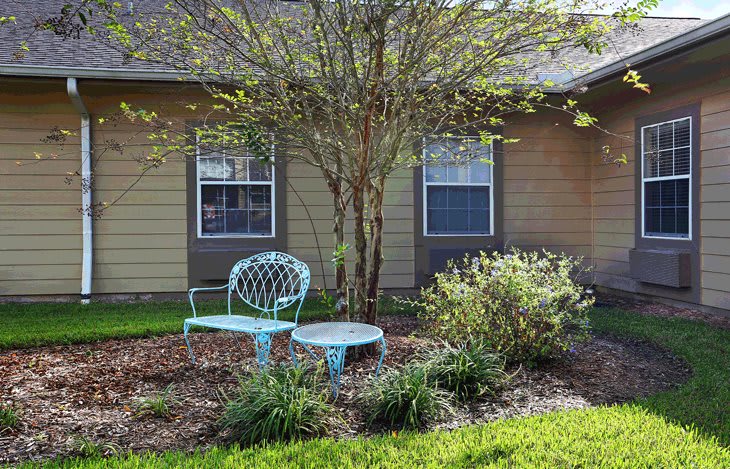 A garden with a turquoise bench and table surrounded by shrubs and a tree.