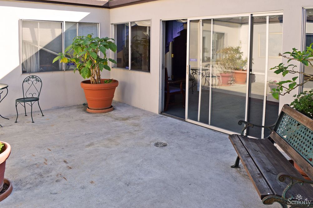 A patio with a potted plant and bench near sliding doors leading inside.