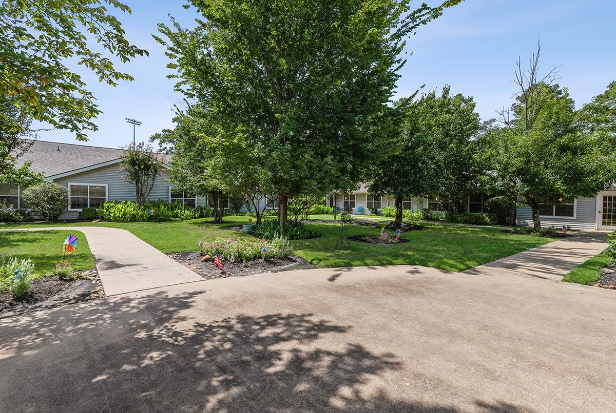 A peaceful residential garden with a well-maintained driveway and lush greenery.