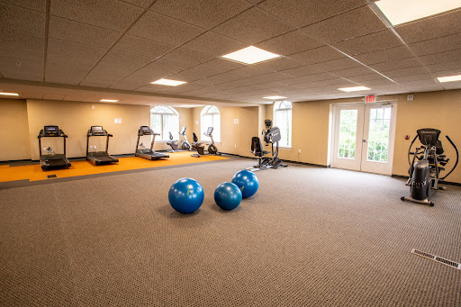 A spacious and well-equipped gym featuring treadmills, exercise bikes, and blue stability balls.