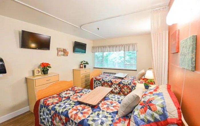 A cozy bedroom with twin beds featuring colorful bedspreads, a window letting in natural light, and amenities like televisions and decor.