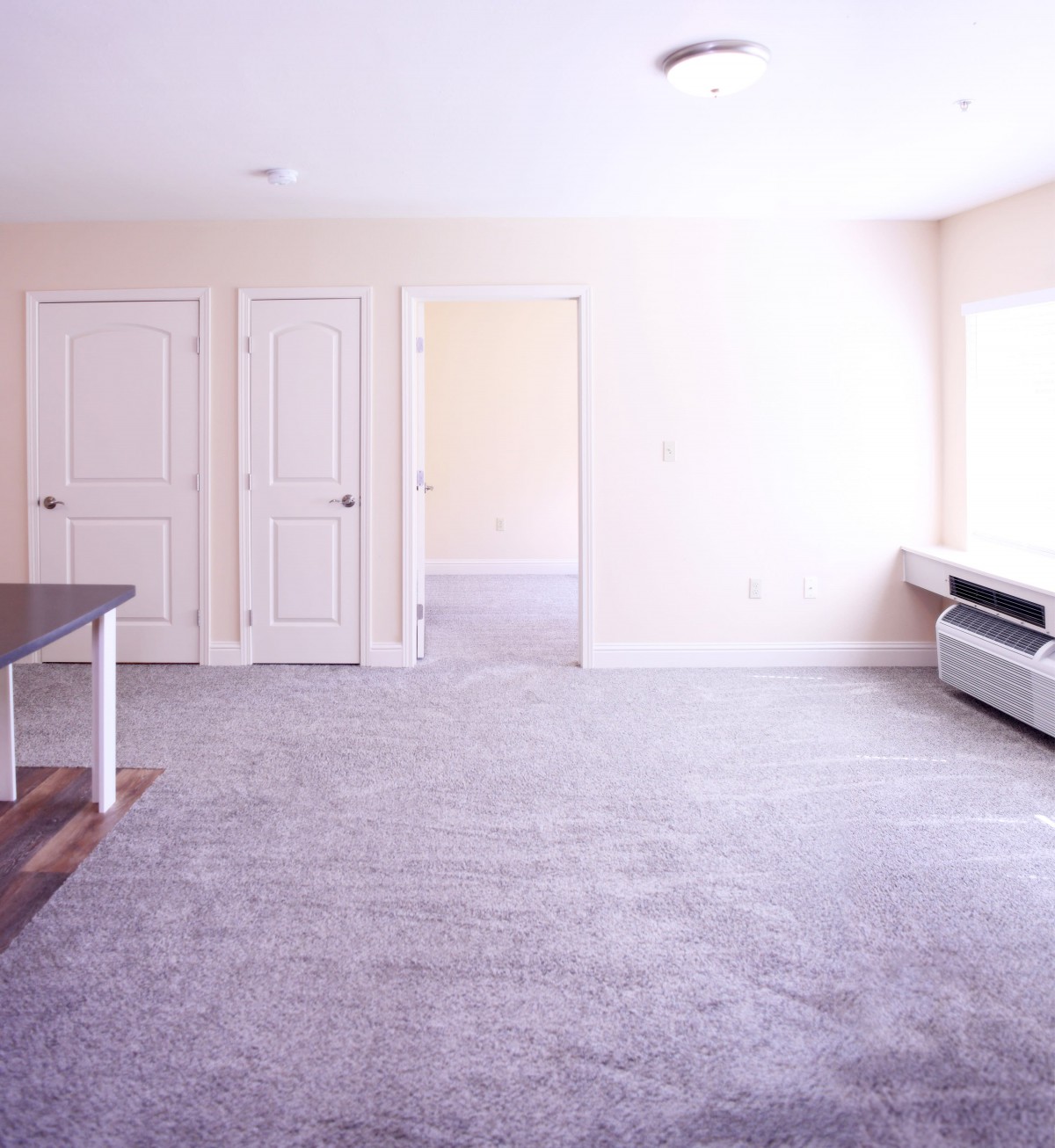 A bright, empty living room with carpeted flooring and multiple doors.