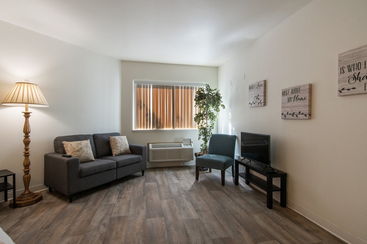 A cozy living room with a sofa, chairs, and a plant by the window.