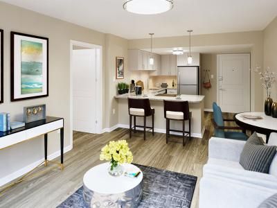 A modern open-concept living room and kitchen area with stylish furnishings and decor.