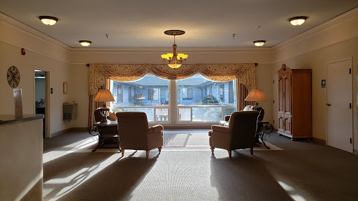 A cozy seating area bathed in daylight, featuring two armchairs and a window view.