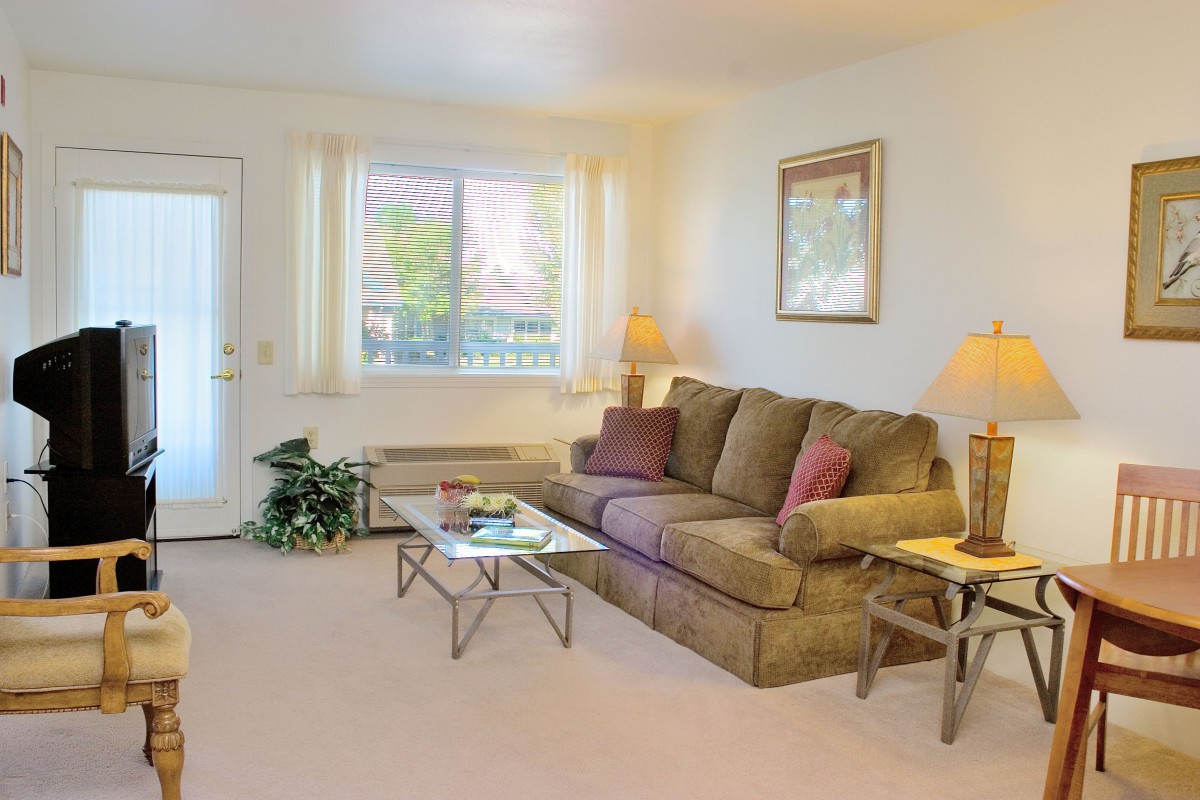 A cozy living room with a sofa, coffee table, and lamps, featuring natural light from the windows.
