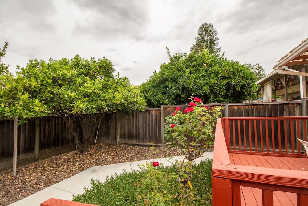 A peaceful backyard garden with trees, a fence, and a red deck.