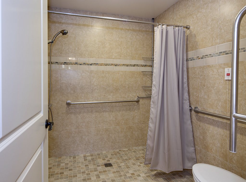 A bathroom with a walk-in shower featuring grab bars and a curtain.