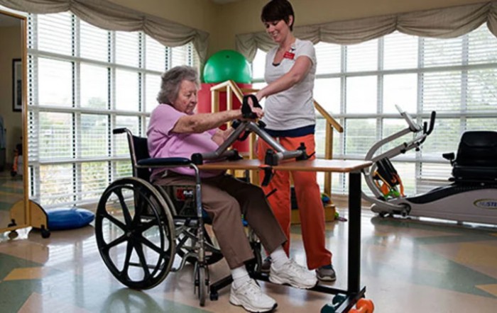 A caregiver assists an elderly woman in a wheelchair with physical therapy exercises.