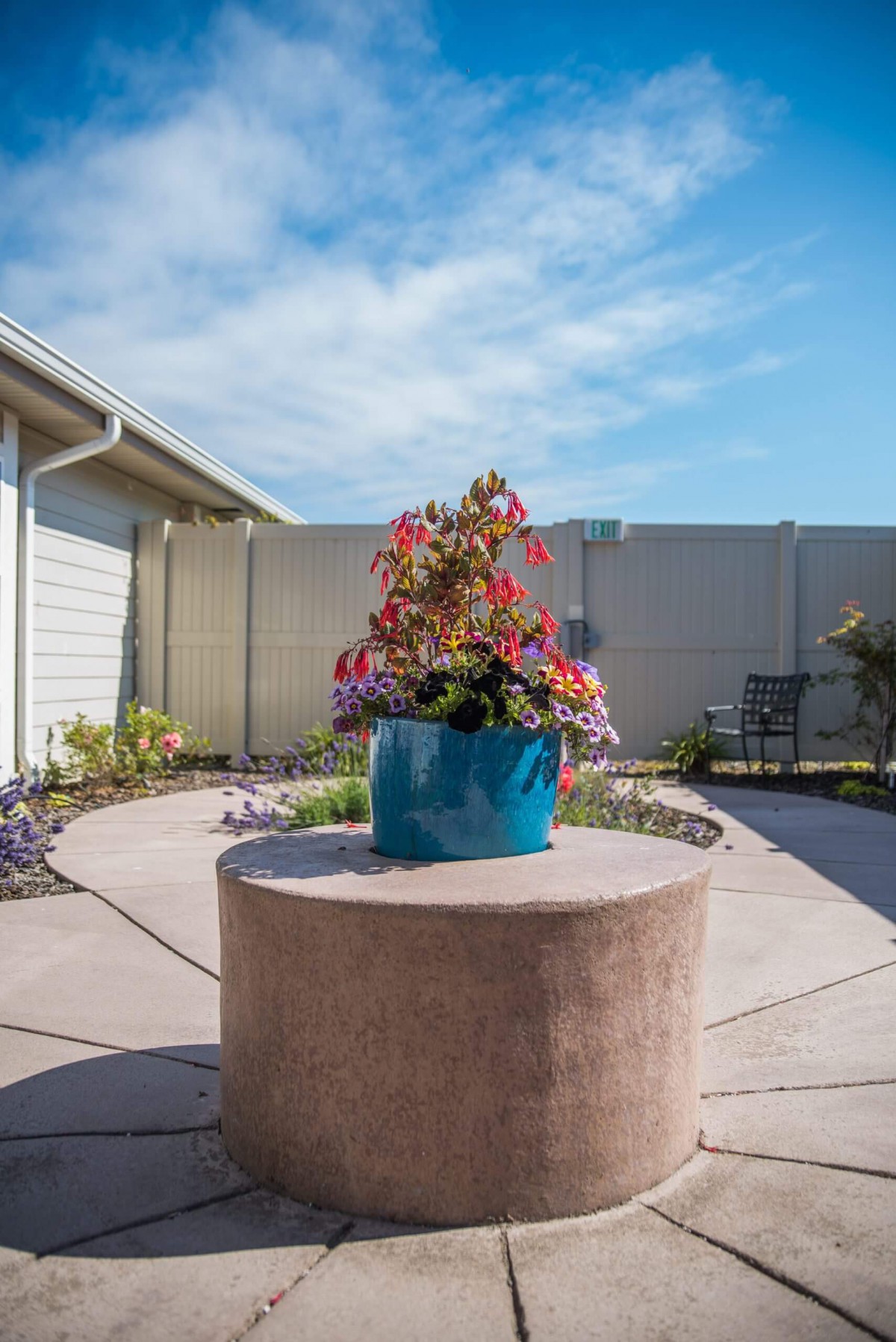 A colorful potted plant placed on a round pedestal in a peaceful garden patio area.