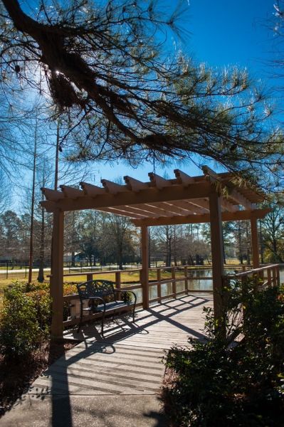 A peaceful park scene featuring a wooden pergola with a bench, surrounded by trees under a clear blue sky.