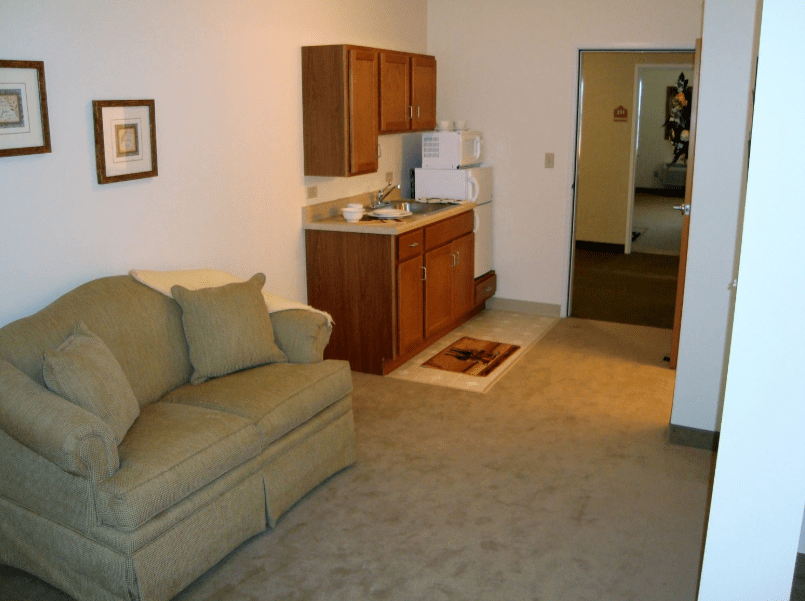 A small apartment living area with a sofa and a kitchenette.