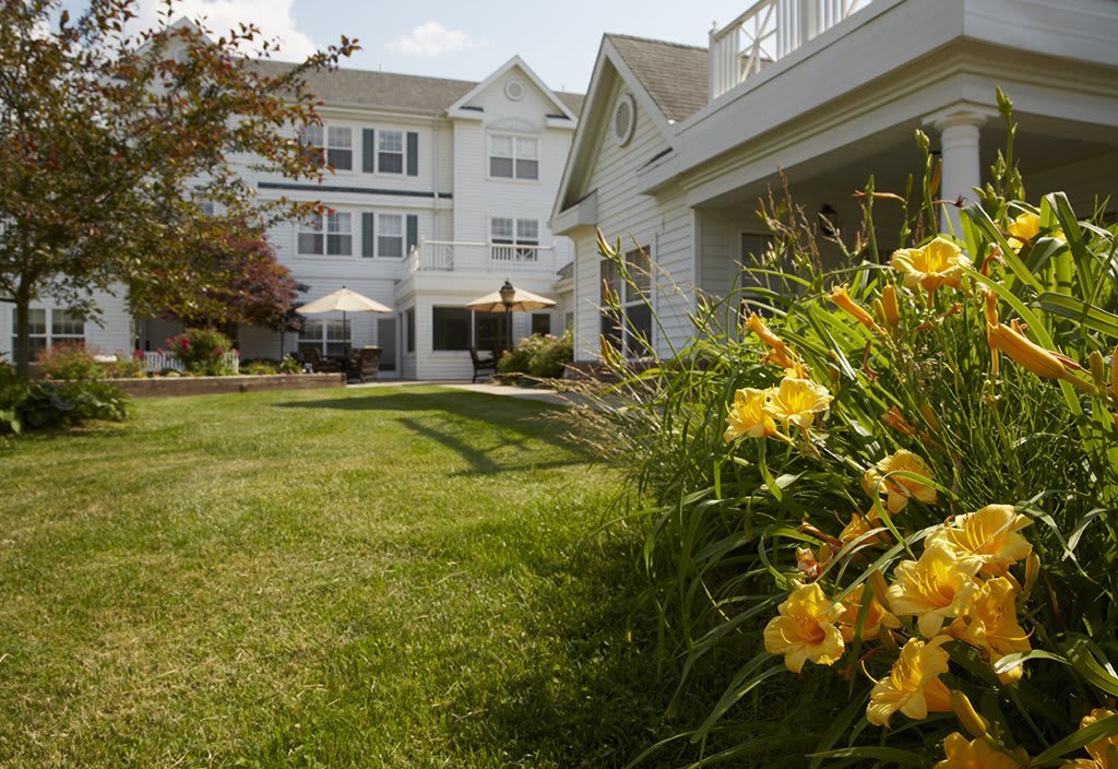 A well-maintained garden with blooming flowers in front of a multi-story building.