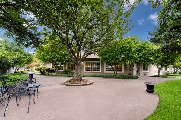 A tranquil outdoor patio area with benches, surrounded by lush trees and a charming house in the background.