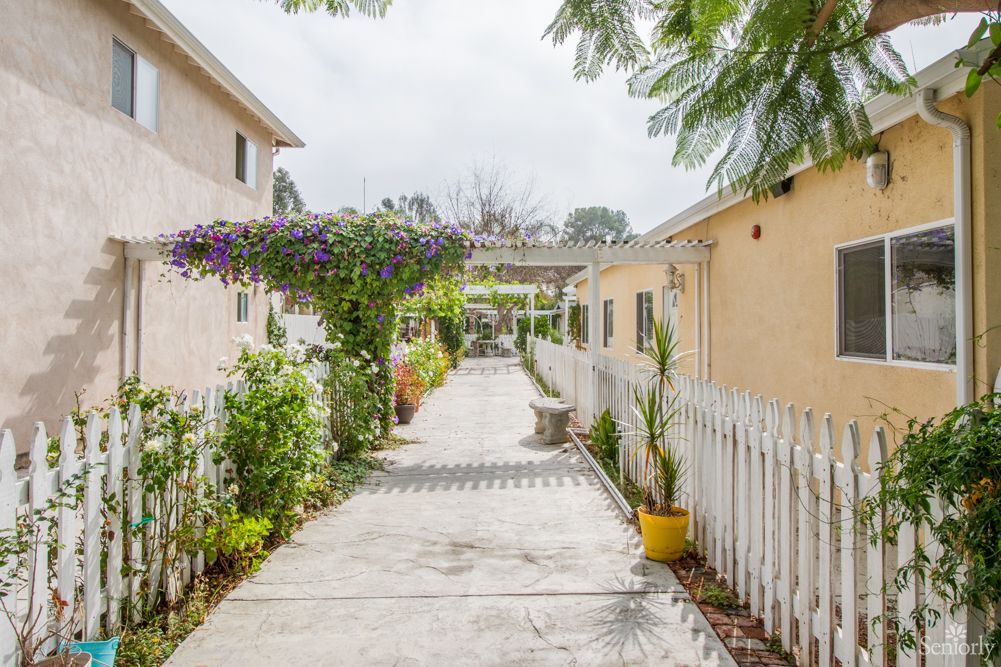A charming walkway lined with potted plants and flowers, bordered by residential buildings.