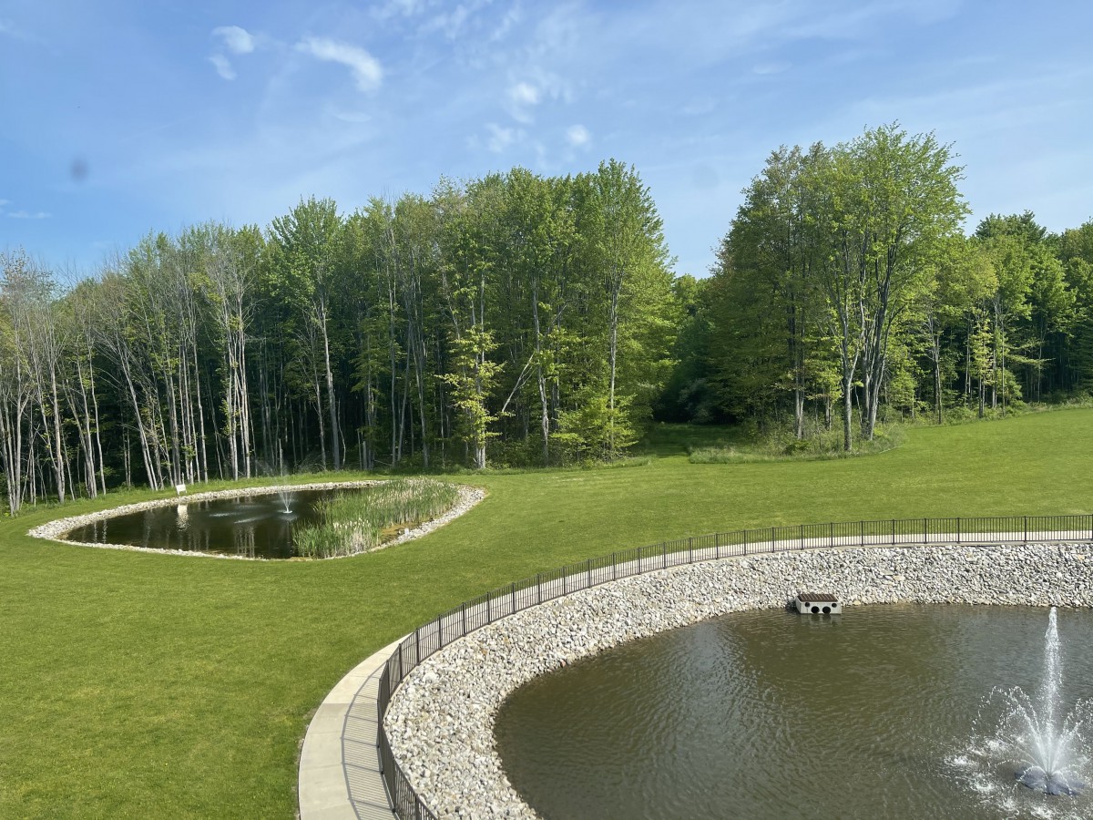 A serene landscape featuring two ponds surrounded by lush greenery and trees under a clear blue sky.