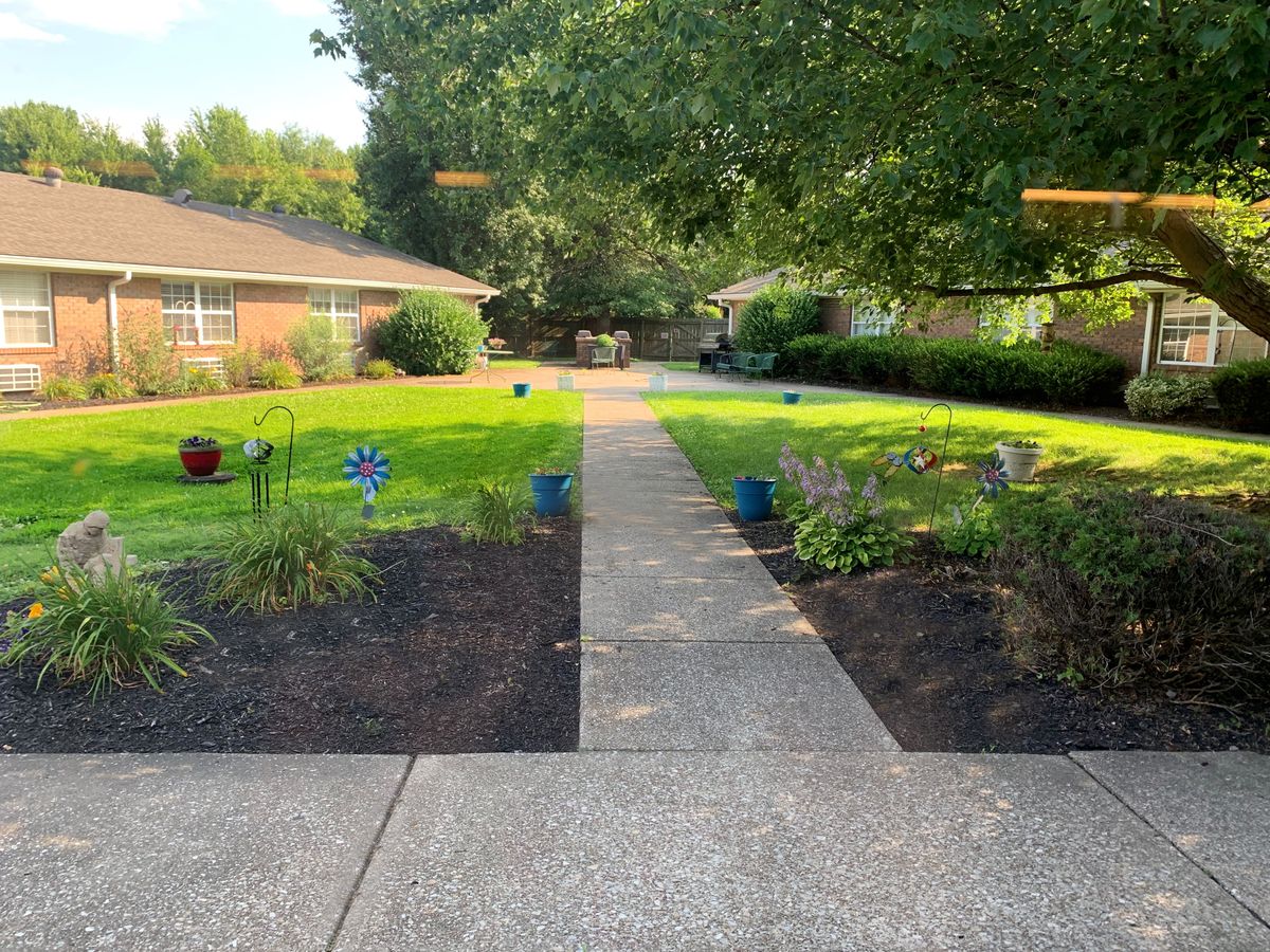 A view of a lush garden with a pathway leading through well-maintained lawns and trees.