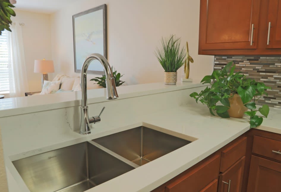 A modern kitchen with a stainless steel sink and stylish plants on the countertop.