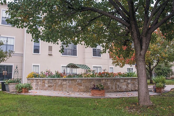 A landscaped garden with colorful flowers next to a building, shaded by a large tree.