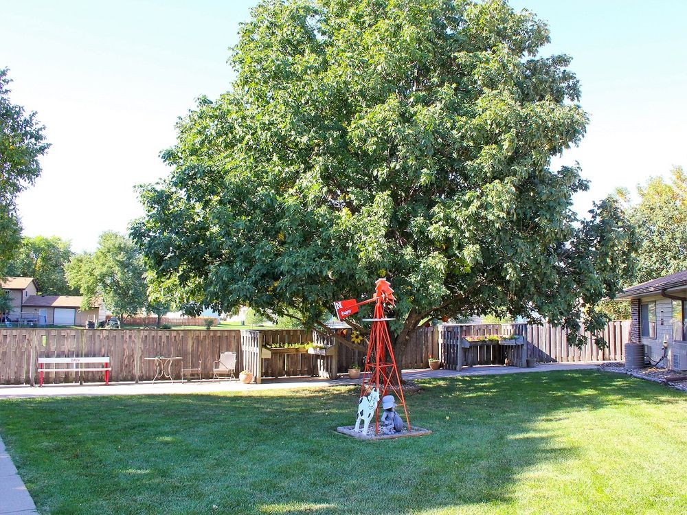 A backyard with a large tree and a decorative windmill on the grass.