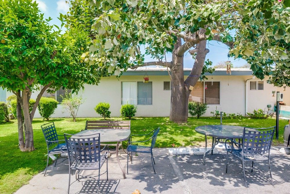 A sunny backyard with outdoor patio furniture under a large tree.