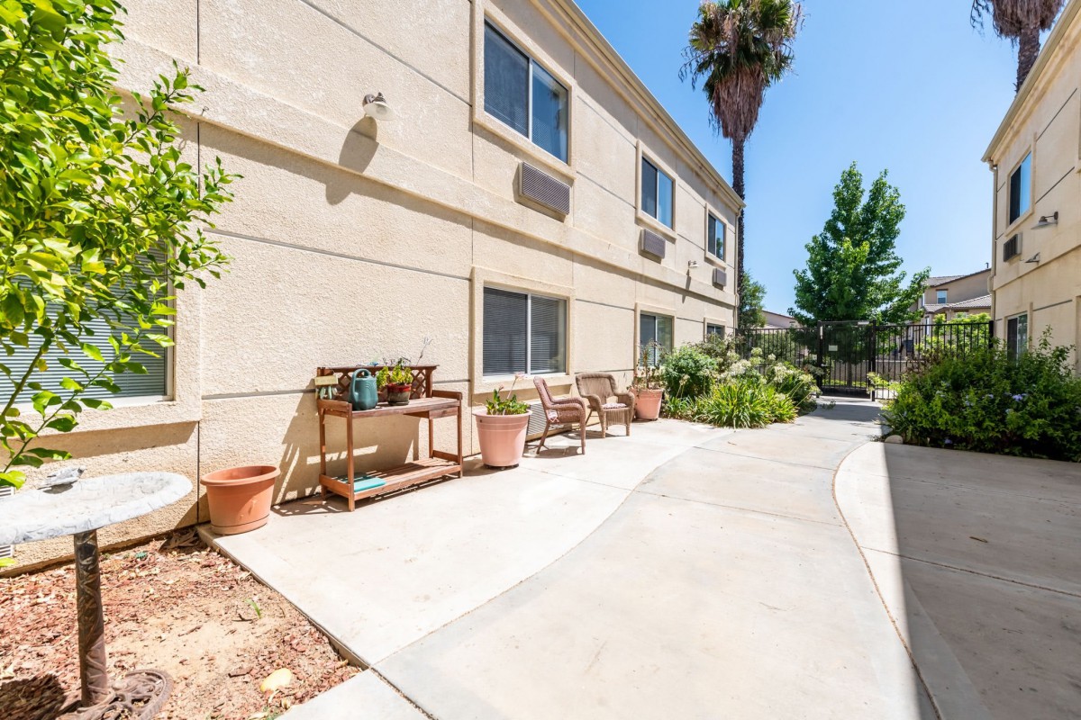 A sunny outdoor area with potted plants and a pathway beside a building.