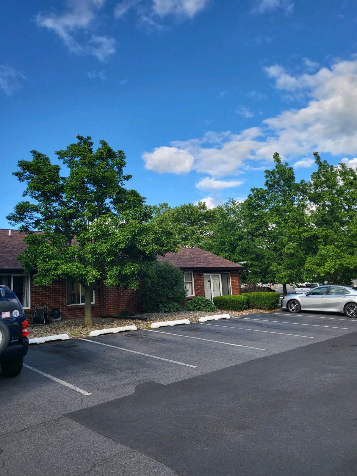 A sunny day in a parking lot with parked cars, surrounded by trees and under a blue sky.