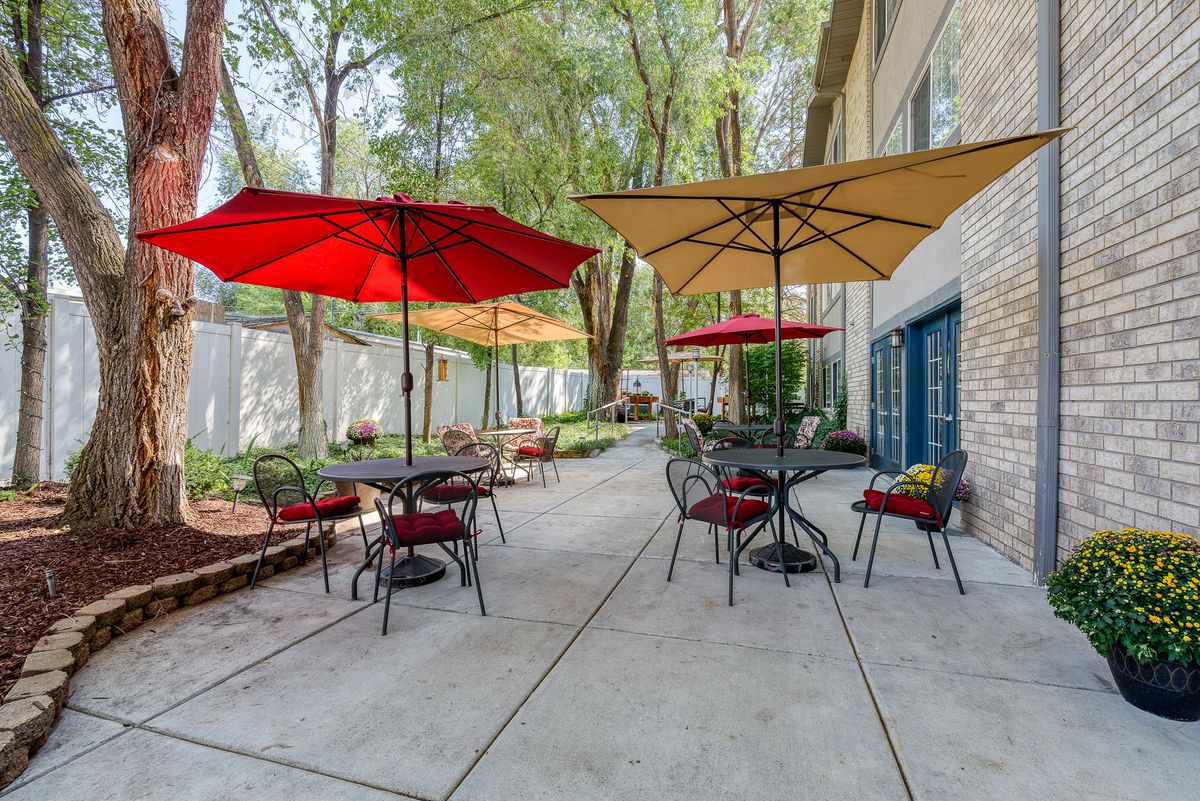 A tranquil outdoor patio with tables, chairs, and umbrellas set among trees.