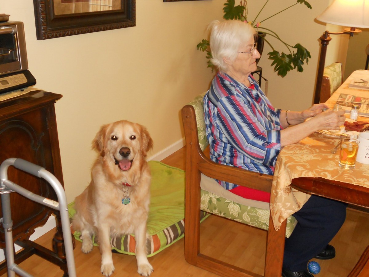 Young at Heart