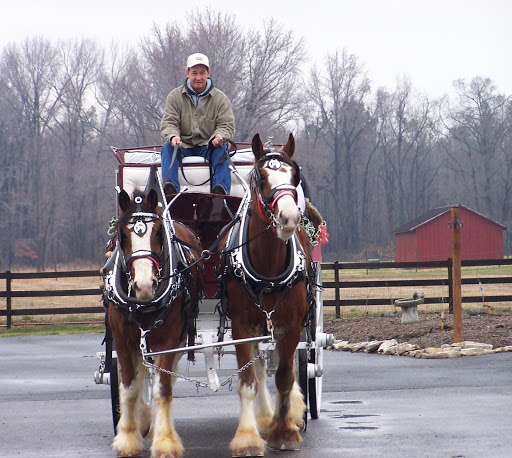 A man riding a carriage pulled by two beautiful horses in a rural setting.