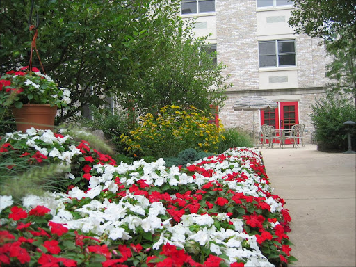A vibrant floral garden with red and white flowers in front of a stone building.
