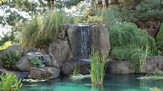 A serene waterfall cascading into a tranquil pond surrounded by lush vegetation.