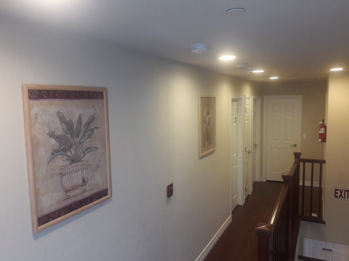 A well-lit hallway with paintings, leading to multiple doors.
