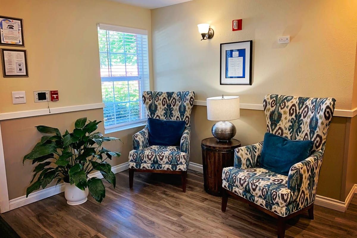A cozy living room area featuring two patterned chairs, an indoor plant, a side table with a lamp, and a framed artwork on the wall.