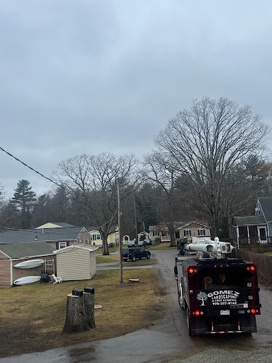 A quiet neighborhood scene under a cloudy sky, with vehicles parked along the road and trees lining the area.