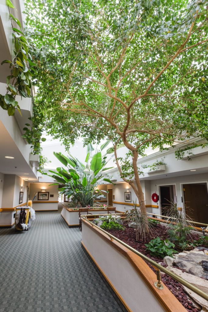 An indoor atrium with lush greenery and abundant natural light.