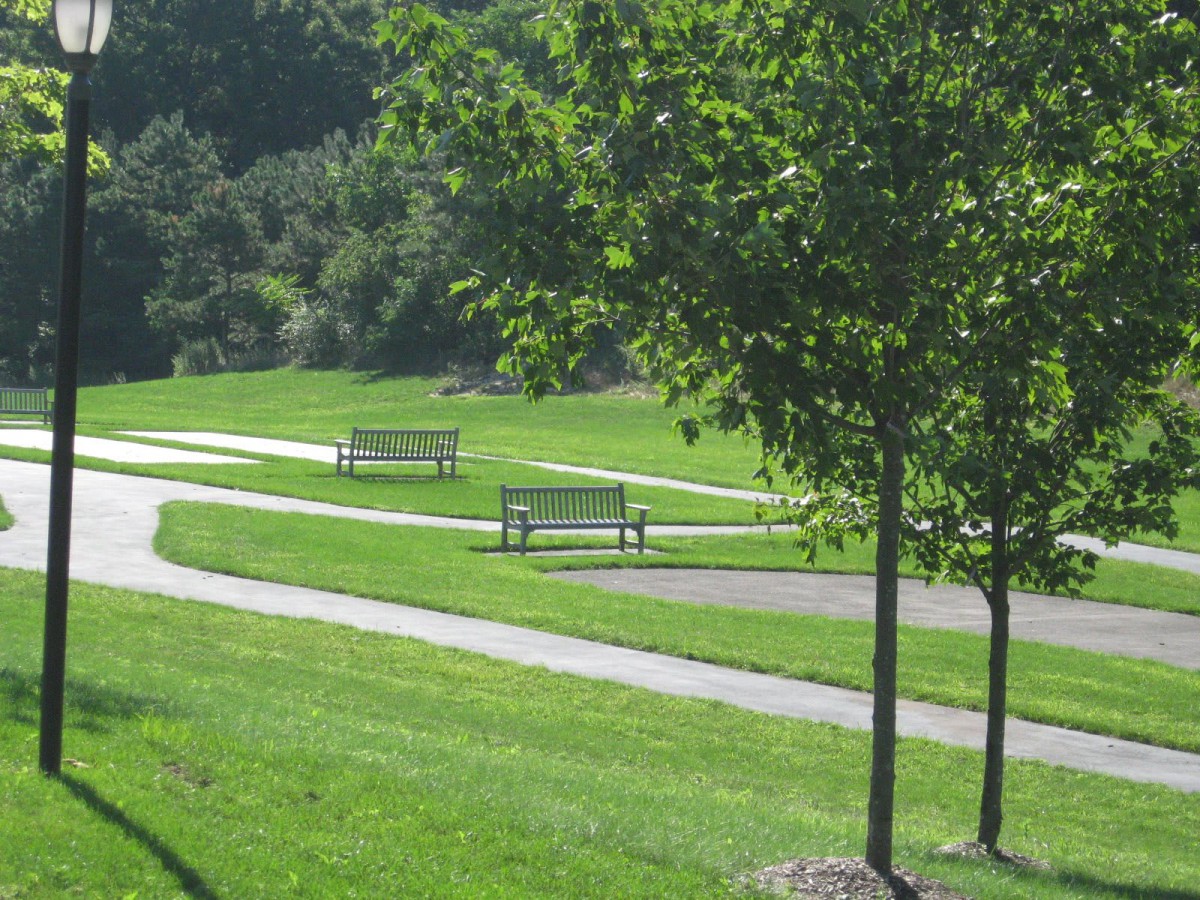 A serene park scene with benches, pathways, and lush greenery.