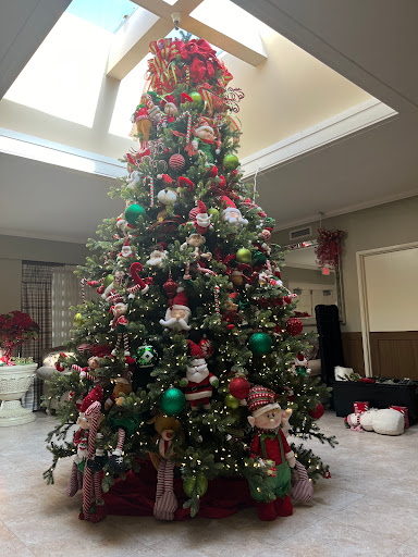 A beautifully adorned Christmas tree filled with vibrant decorations, standing tall under a skylight.
