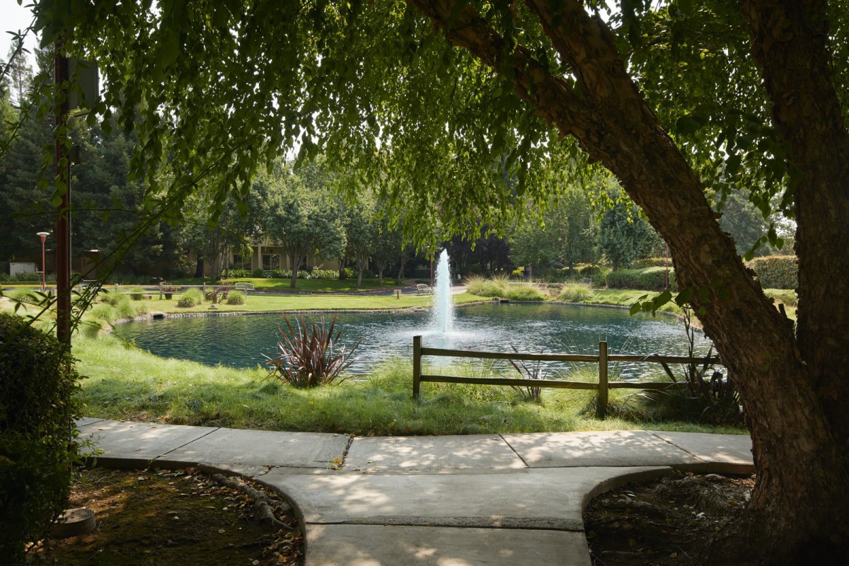 A scenic view of a park with a pond, fountain, and surrounding greenery.