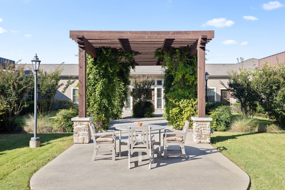 A serene outdoor patio area with a vine-covered pergola and wooden furniture.