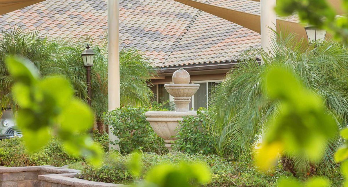 A serene garden scene featuring a central fountain surrounded by lush tropical plants and architectural elements.