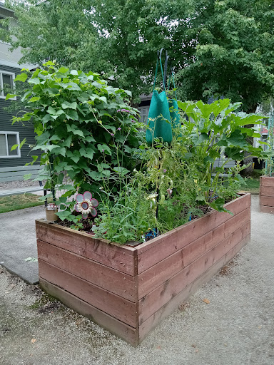 A lush vegetable garden in a raised bed showcasing various plants and greenery.