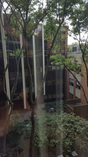 A view of a courtyard featuring green trees and modern architecture.