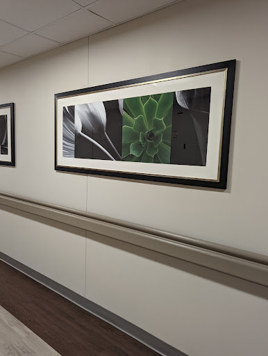 Northwell Health Stern Family Center For Rehab