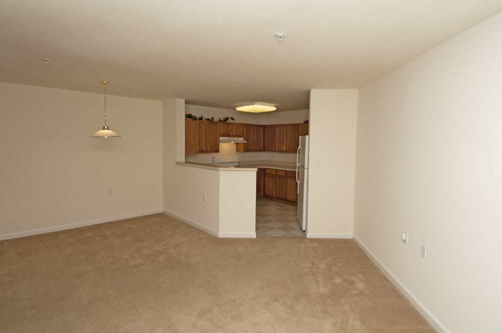 An empty apartment interior featuring a living room and kitchen area.