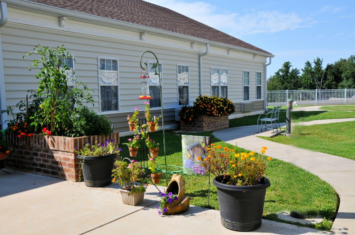 A sunny garden with various potted plants and flowers outside a light-colored building.