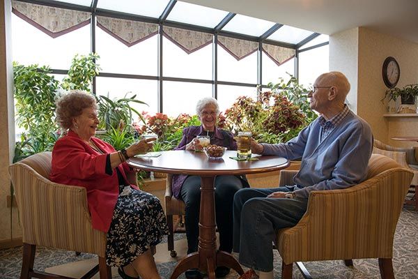 A group of seniors enjoying drinks and conversation at a cozy indoor setting surrounded by plants.